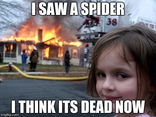 Disaster Girl | I SAW A SPIDER; I THINK ITS DEAD NOW | image tagged in memes,disaster girl | made w/ Imgflip meme maker