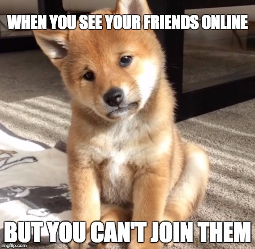 Sad dog | WHEN YOU SEE YOUR FRIENDS ONLINE; BUT YOU CAN'T JOIN THEM | image tagged in sad dog | made w/ Imgflip meme maker