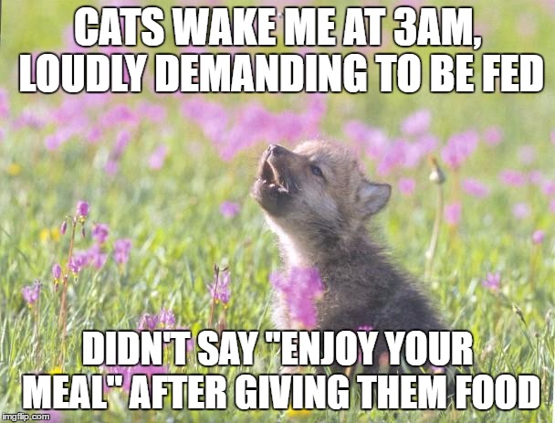 Baby Insanity Wolf | CATS WAKE ME AT 3AM, LOUDLY DEMANDING TO BE FED; DIDN'T SAY "ENJOY YOUR MEAL" AFTER GIVING THEM FOOD | image tagged in memes,baby insanity wolf,AdviceAnimals | made w/ Imgflip meme maker