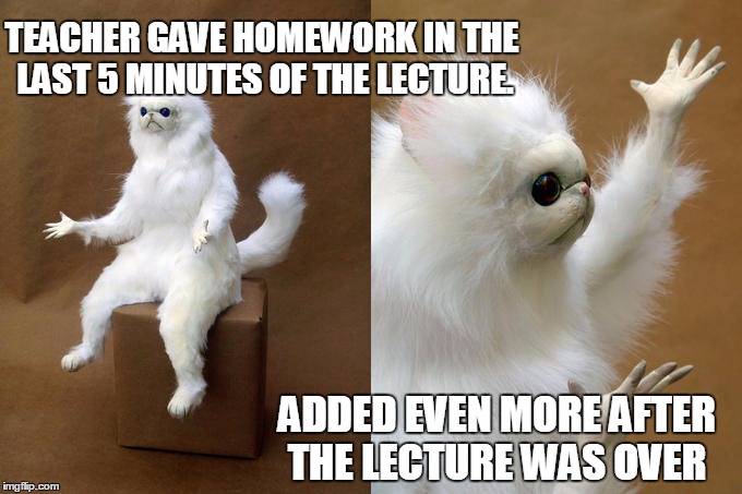 Persian Cat Room Guardian Meme | TEACHER GAVE HOMEWORK IN THE LAST 5 MINUTES OF THE LECTURE. ADDED EVEN MORE AFTER THE LECTURE WAS OVER | image tagged in memes,persian cat room guardian | made w/ Imgflip meme maker