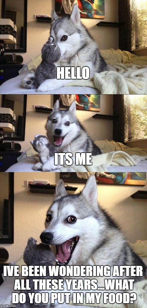 Bad Pun Dog | HELLO; ITS ME; IVE BEEN WONDERING AFTER ALL THESE YEARS...WHAT DO YOU PUT IN MY FOOD? | image tagged in memes,bad pun dog | made w/ Imgflip meme maker