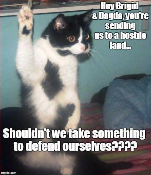 question cat | Hey Brigid & Dagda, you're sending us to a hostile land... Shouldn't we take something to defend ourselves???? | image tagged in question cat | made w/ Imgflip meme maker