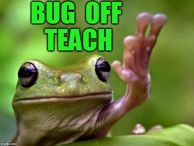 screw you | BUG  OFF TEACH | image tagged in screw you | made w/ Imgflip meme maker
