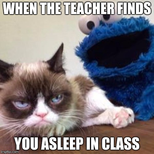 WHEN THE TEACHER FINDS; YOU ASLEEP IN CLASS | image tagged in grumpy cat | made w/ Imgflip meme maker
