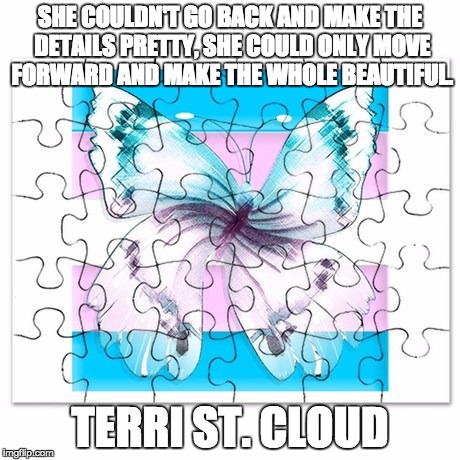 SHE COULDN'T GO BACK AND MAKE THE DETAILS PRETTY, SHE COULD ONLY MOVE FORWARD AND MAKE THE WHOLE BEAUTIFUL. TERRI ST. CLOUD | image tagged in transgender,acceptance,progress | made w/ Imgflip meme maker