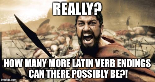 Sparta Leonidas Meme | REALLY? HOW MANY MORE LATIN VERB ENDINGS CAN THERE POSSIBLY BE?! | image tagged in memes,sparta leonidas | made w/ Imgflip meme maker