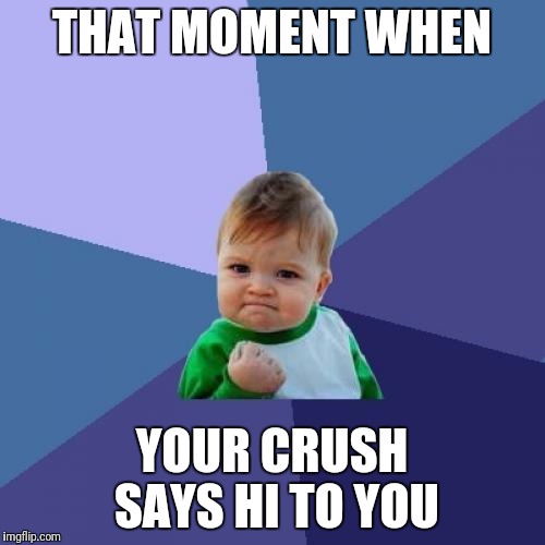 Success Kid | THAT MOMENT WHEN; YOUR CRUSH SAYS HI TO YOU | image tagged in memes,success kid | made w/ Imgflip meme maker