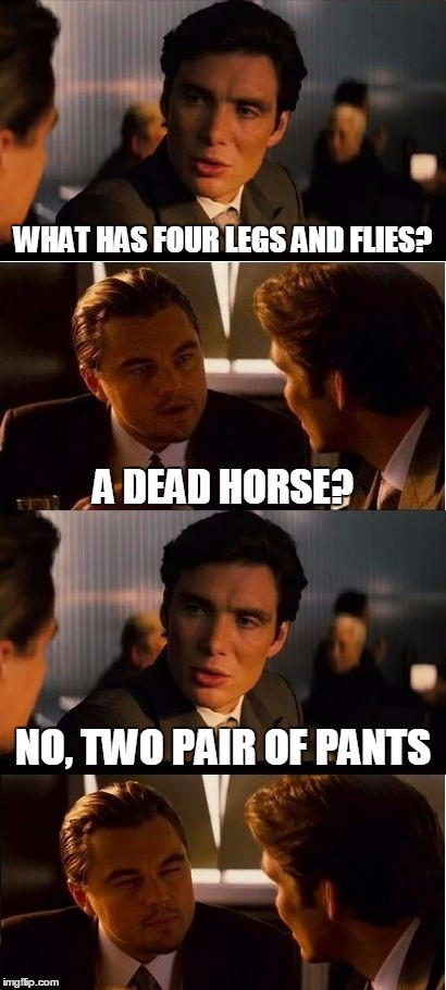 duh | WHAT HAS FOUR LEGS AND FLIES? A DEAD HORSE? NO, TWO PAIR OF PANTS | image tagged in inception,memes,bad joke | made w/ Imgflip meme maker