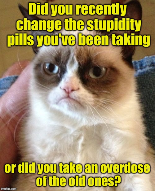 Grumpy Cat | Did you recently change the stupidity pills you've been taking; or did you take an overdose of the old ones? | image tagged in memes,grumpy cat | made w/ Imgflip meme maker