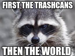 FIRST THE TRASHCANS; THEN THE WORLD | image tagged in raccoon | made w/ Imgflip meme maker