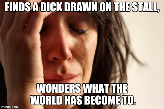 First World Problems Meme | FINDS A DICK DRAWN ON THE STALL, WONDERS WHAT THE WORLD HAS BECOME TO. | image tagged in memes,first world problems | made w/ Imgflip meme maker
