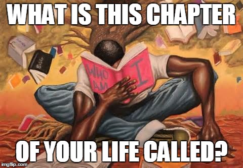 Chapter Of Your Life | WHAT IS THIS CHAPTER; OF YOUR LIFE CALLED? | image tagged in life,education,knowledge | made w/ Imgflip meme maker