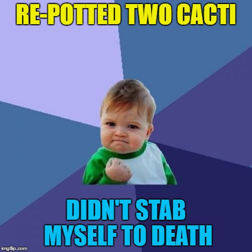 Today was a good day... :) |  RE-POTTED TWO CACTI; DIDN'T STAB MYSELF TO DEATH | image tagged in memes,success kid,cacti,cactus,plants,gardening | made w/ Imgflip meme maker