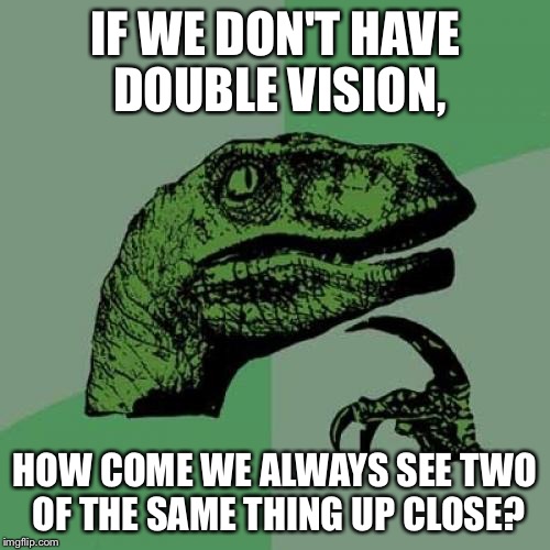 Philosoraptor Meme | IF WE DON'T HAVE DOUBLE VISION, HOW COME WE ALWAYS SEE TWO OF THE SAME THING UP CLOSE? | image tagged in memes,philosoraptor | made w/ Imgflip meme maker