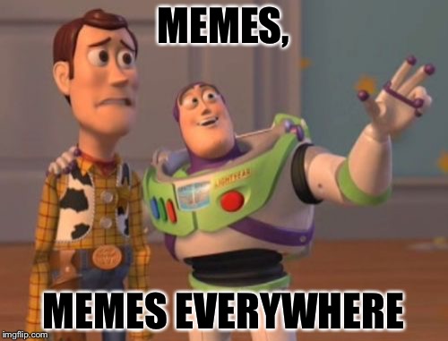 ImgFlip In A Nutshell | MEMES, MEMES EVERYWHERE | image tagged in memes,x x everywhere | made w/ Imgflip meme maker