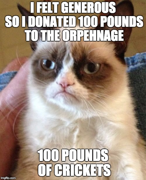 Grumpy Cat | I FELT GENEROUS SO I DONATED 100 POUNDS TO THE ORPEHNAGE; 100 POUNDS OF CRICKETS | image tagged in memes,grumpy cat | made w/ Imgflip meme maker