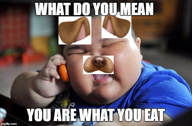 Fat Asian Kid | WHAT DO YOU MEAN; YOU ARE WHAT YOU EAT | image tagged in fat asian kid | made w/ Imgflip meme maker