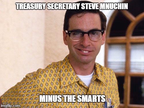 TREASURY SECRETARY STEVE MNUCHIN; MINUS THE SMARTS | image tagged in donald trump,taxes,trump | made w/ Imgflip meme maker