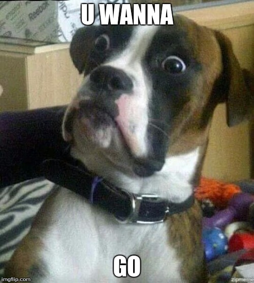 the doggie look | U WANNA; GO | image tagged in the doggie look | made w/ Imgflip meme maker