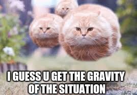 gravity of the situation | I GUESS U GET THE GRAVITY OF THE SITUATION | image tagged in gravity,cats,cat army | made w/ Imgflip meme maker