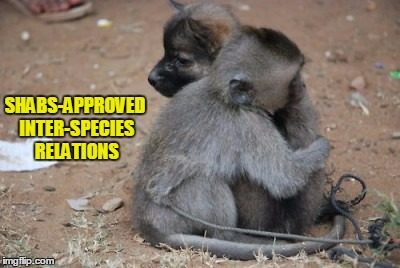 SHABS-APPROVED INTER-SPECIES RELATIONS | made w/ Imgflip meme maker