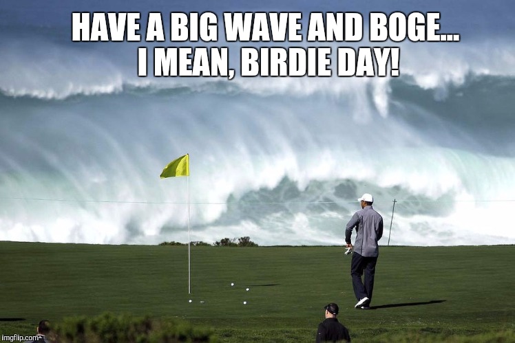 HAVE A BIG WAVE AND BOGE... I MEAN, BIRDIE DAY! | image tagged in big waves birdie golf | made w/ Imgflip meme maker