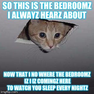 Ceiling Cat | SO THIS IS THE BEDROOMZ I ALWAYZ HEARZ ABOUT; NOW THAT I NO WHERE THE BEDROOMZ IZ I IZ COMINGZ HERE TO WATCH YOU SLEEP EVERY NIGHTZ | image tagged in memes,ceiling cat | made w/ Imgflip meme maker