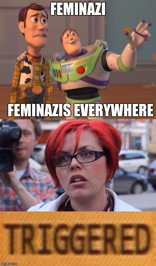 Too many | FEMINAZI; FEMINAZIS EVERYWHERE | image tagged in angry feminist | made w/ Imgflip meme maker