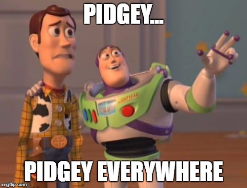 X, X Everywhere Meme | PIDGEY... PIDGEY EVERYWHERE | image tagged in memes,x x everywhere | made w/ Imgflip meme maker