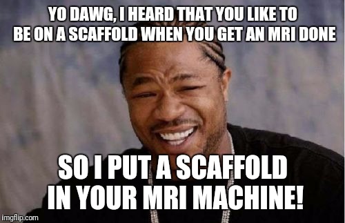 Yo Dawg Heard You Meme | YO DAWG, I HEARD THAT YOU LIKE TO BE ON A SCAFFOLD WHEN YOU GET AN MRI DONE SO I PUT A SCAFFOLD IN YOUR MRI MACHINE! | image tagged in memes,yo dawg heard you | made w/ Imgflip meme maker