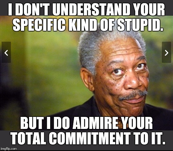 I DON'T UNDERSTAND YOUR SPECIFIC KIND OF STUPID. BUT I DO ADMIRE YOUR TOTAL COMMITMENT TO IT. | image tagged in your kind of stupid | made w/ Imgflip meme maker