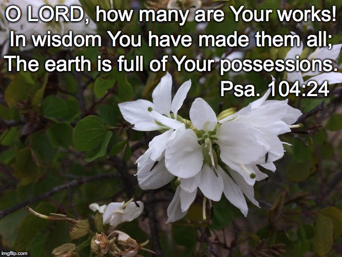 O LORD, how many are Your works! In wisdom You have made them all;; The earth is full of Your possessions. Psa. 104:24 | image tagged in possessions | made w/ Imgflip meme maker