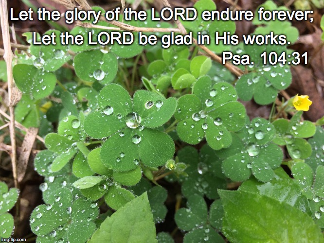 Let the glory of the LORD endure forever;; Let the LORD be glad in His works. Psa. 104:31 | image tagged in works | made w/ Imgflip meme maker