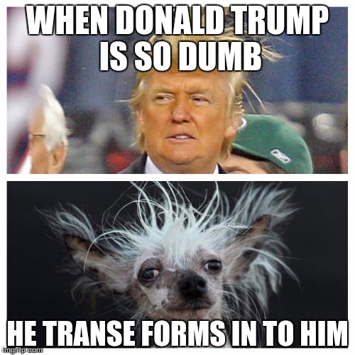 Messy hair | WHEN DONALD TRUMP IS SO DUMB; HE TRANSE FORMS IN TO HIM | image tagged in messy hair | made w/ Imgflip meme maker