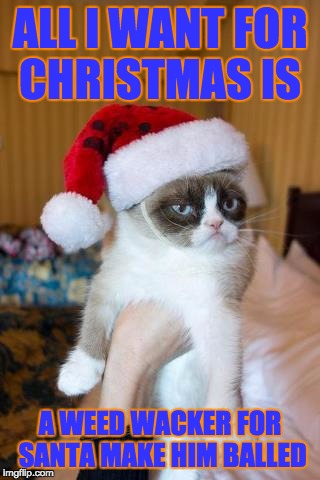Grumpy Cat Christmas | ALL I WANT FOR CHRISTMAS IS; A WEED WACKER FOR SANTA MAKE HIM BALLED | image tagged in memes,grumpy cat christmas,grumpy cat | made w/ Imgflip meme maker