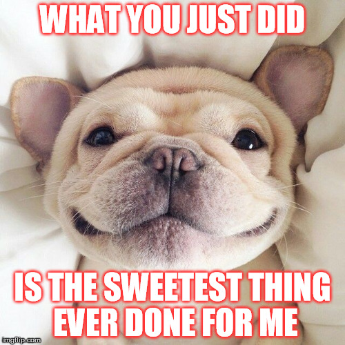 French Bulldog | WHAT YOU JUST DID; IS THE SWEETEST THING EVER DONE FOR ME | image tagged in french bulldog | made w/ Imgflip meme maker