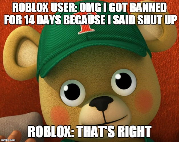ROBLOX USER: OMG I GOT BANNED FOR 14 DAYS BECAUSE I SAID SHUT UP; ROBLOX: THAT'S RIGHT | image tagged in gaming | made w/ Imgflip meme maker