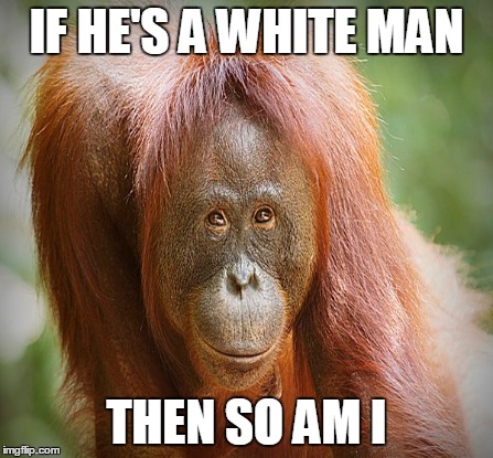 IF HE'S A WHITE MAN THEN SO AM I | made w/ Imgflip meme maker