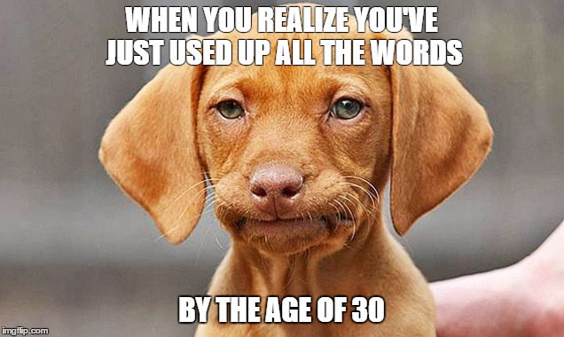 WHEN YOU REALIZE YOU'VE JUST USED UP ALL THE WORDS; BY THE AGE OF 30 | image tagged in words | made w/ Imgflip meme maker