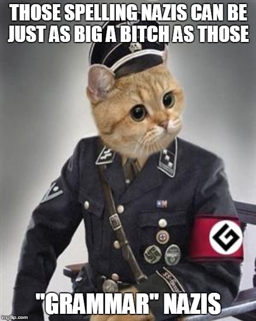THOSE SPELLING NAZIS CAN BE JUST AS BIG A B**CH AS THOSE "GRAMMAR" NAZIS | made w/ Imgflip meme maker