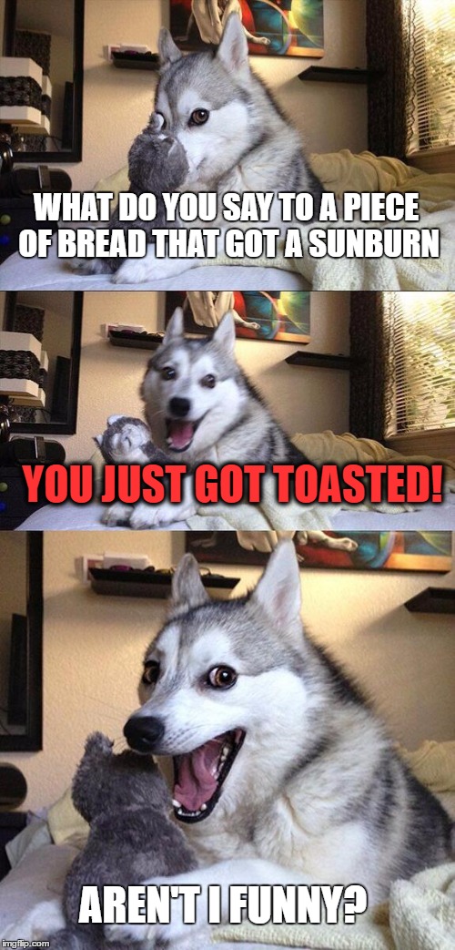 Bad Pun Dog Meme | WHAT DO YOU SAY TO A PIECE OF BREAD THAT GOT A SUNBURN; YOU JUST GOT TOASTED! AREN'T I FUNNY? | image tagged in memes,bad pun dog | made w/ Imgflip meme maker