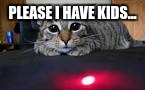 cat meme | PLEASE I HAVE KIDS... | image tagged in laser | made w/ Imgflip meme maker