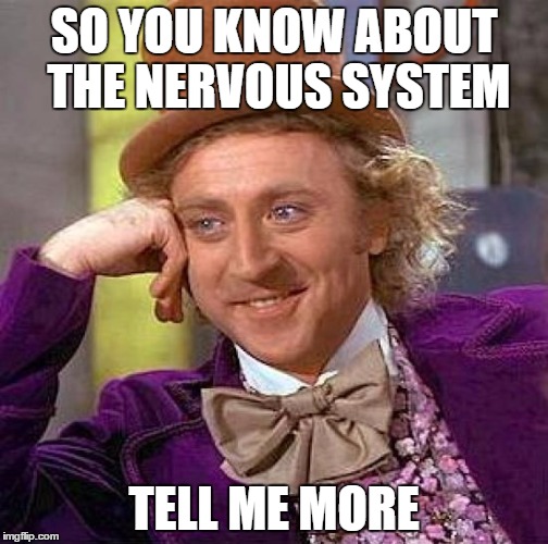 Creepy Condescending Wonka Meme | SO YOU KNOW ABOUT THE NERVOUS SYSTEM; TELL ME MORE | image tagged in memes,creepy condescending wonka | made w/ Imgflip meme maker