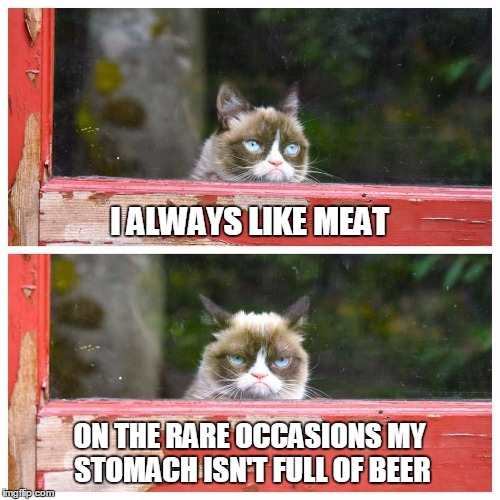 I ALWAYS LIKE MEAT ON THE RARE OCCASIONS MY STOMACH ISN'T FULL OF BEER | made w/ Imgflip meme maker