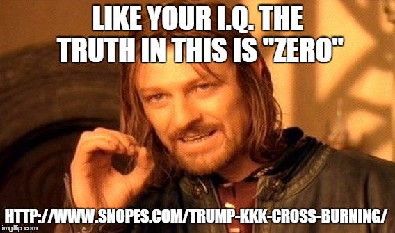 One Does Not Simply Meme | LIKE YOUR I.Q. THE TRUTH IN THIS IS "ZERO" HTTP://WWW.SNOPES.COM/TRUMP-KKK-CROSS-BURNING/ | image tagged in memes,one does not simply | made w/ Imgflip meme maker