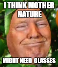 Money grows on trees | I THINK MOTHER NATURE; MIGHT NEED  GLASSES | image tagged in trump | made w/ Imgflip meme maker