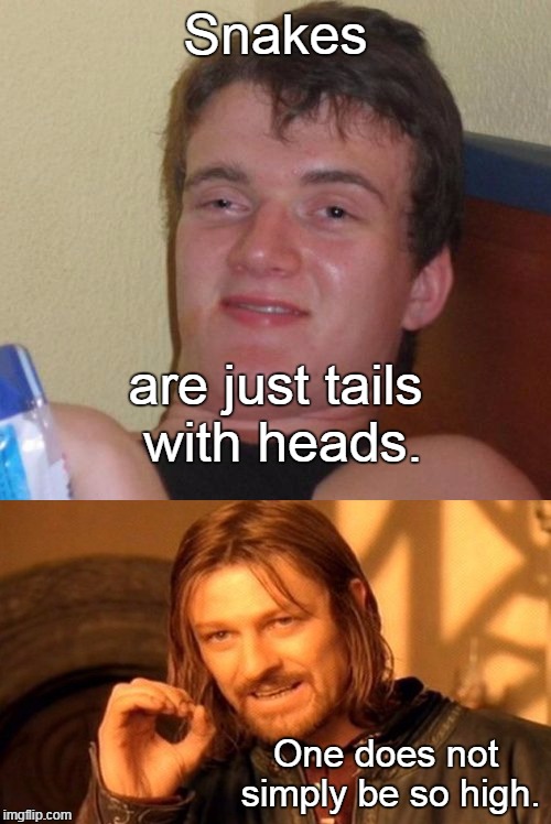 Boromir's reaction to 10 Guy. | Snakes; are just tails with heads. One does not simply be so high. | image tagged in memes,10 guy,one does not simply | made w/ Imgflip meme maker