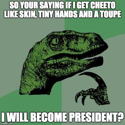 Philosoraptor | SO YOUR SAYING IF I GET CHEETO LIKE SKIN, TINY HANDS AND A TOUPE; I WILL BECOME PRESIDENT? | image tagged in memes,philosoraptor | made w/ Imgflip meme maker