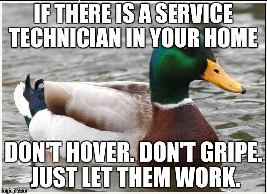 Actual Advice Mallard Meme | IF THERE IS A SERVICE TECHNICIAN IN YOUR HOME; DON'T HOVER. DON'T GRIPE. JUST LET THEM WORK. | image tagged in memes,actual advice mallard,AdviceAnimals | made w/ Imgflip meme maker