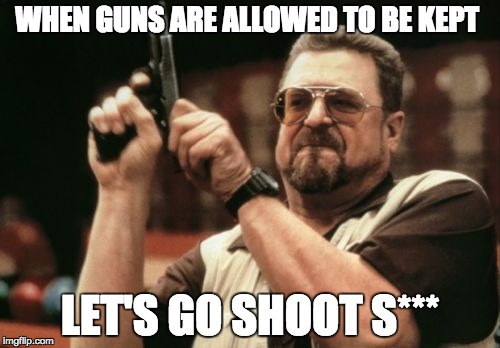 Am I The Only One Around Here Meme | WHEN GUNS ARE ALLOWED TO BE KEPT; LET'S GO SHOOT S*** | image tagged in memes,am i the only one around here | made w/ Imgflip meme maker